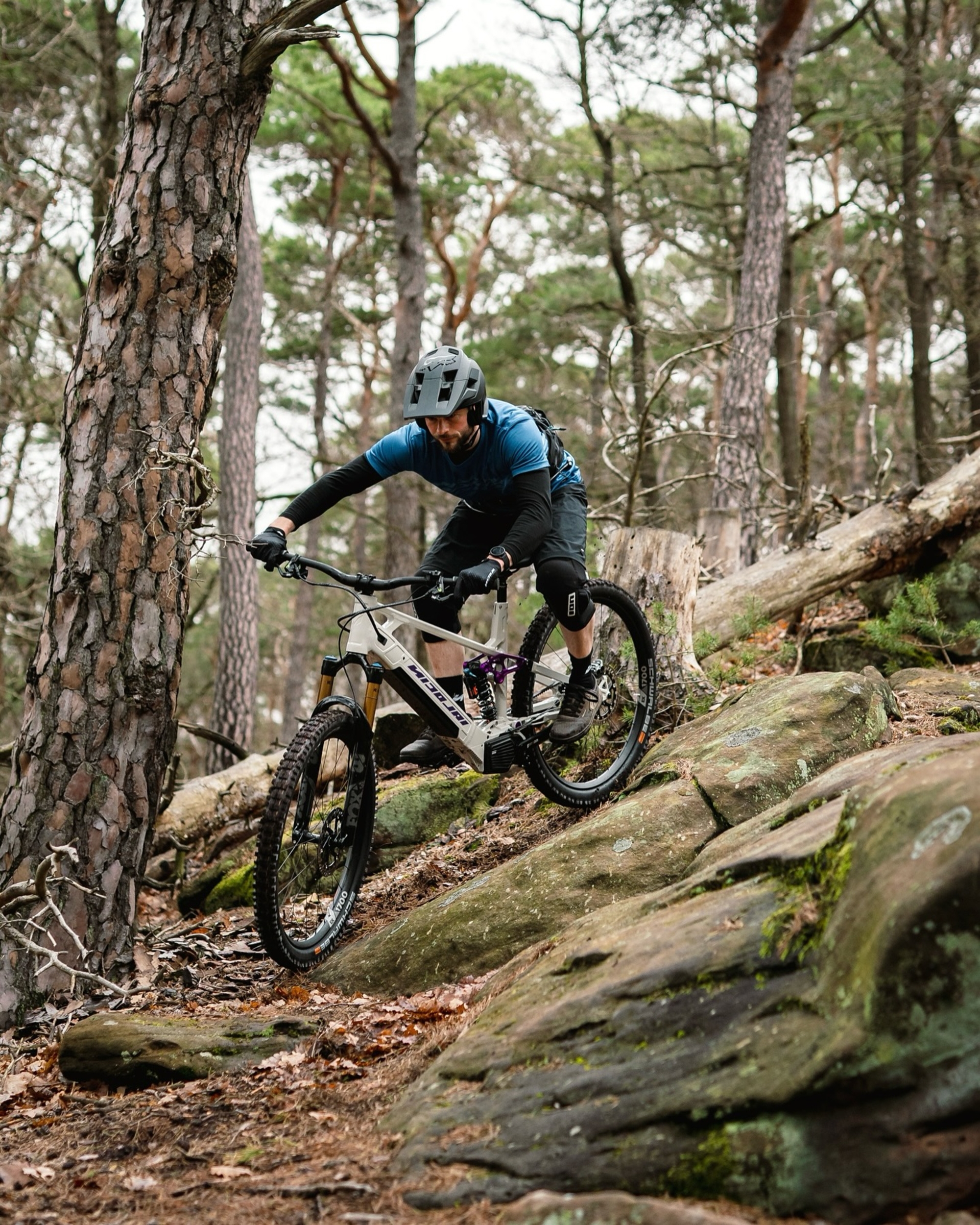 494801442 18502590598026973 8084432109751652542 n