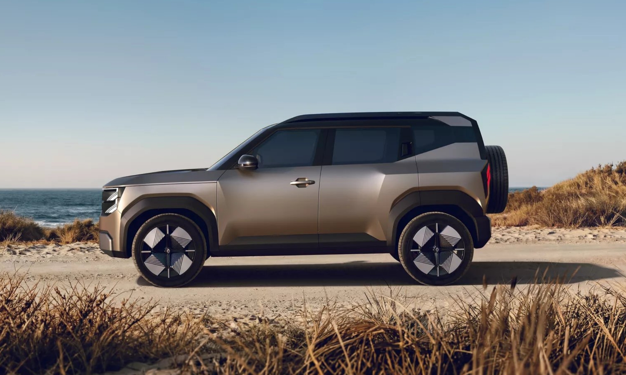 Su tamaño contenido y sus formas musculosas son realmente atractivas.