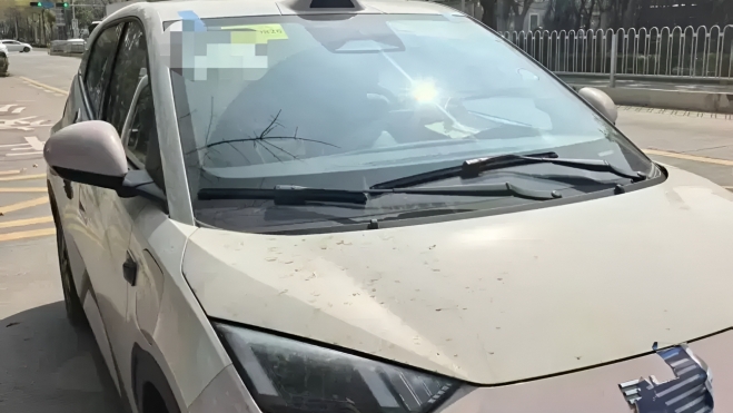 BYD Dolphin Surf Foto Espía