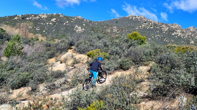 IMG 20250325 WA0034 IMG 20250325 WA0034