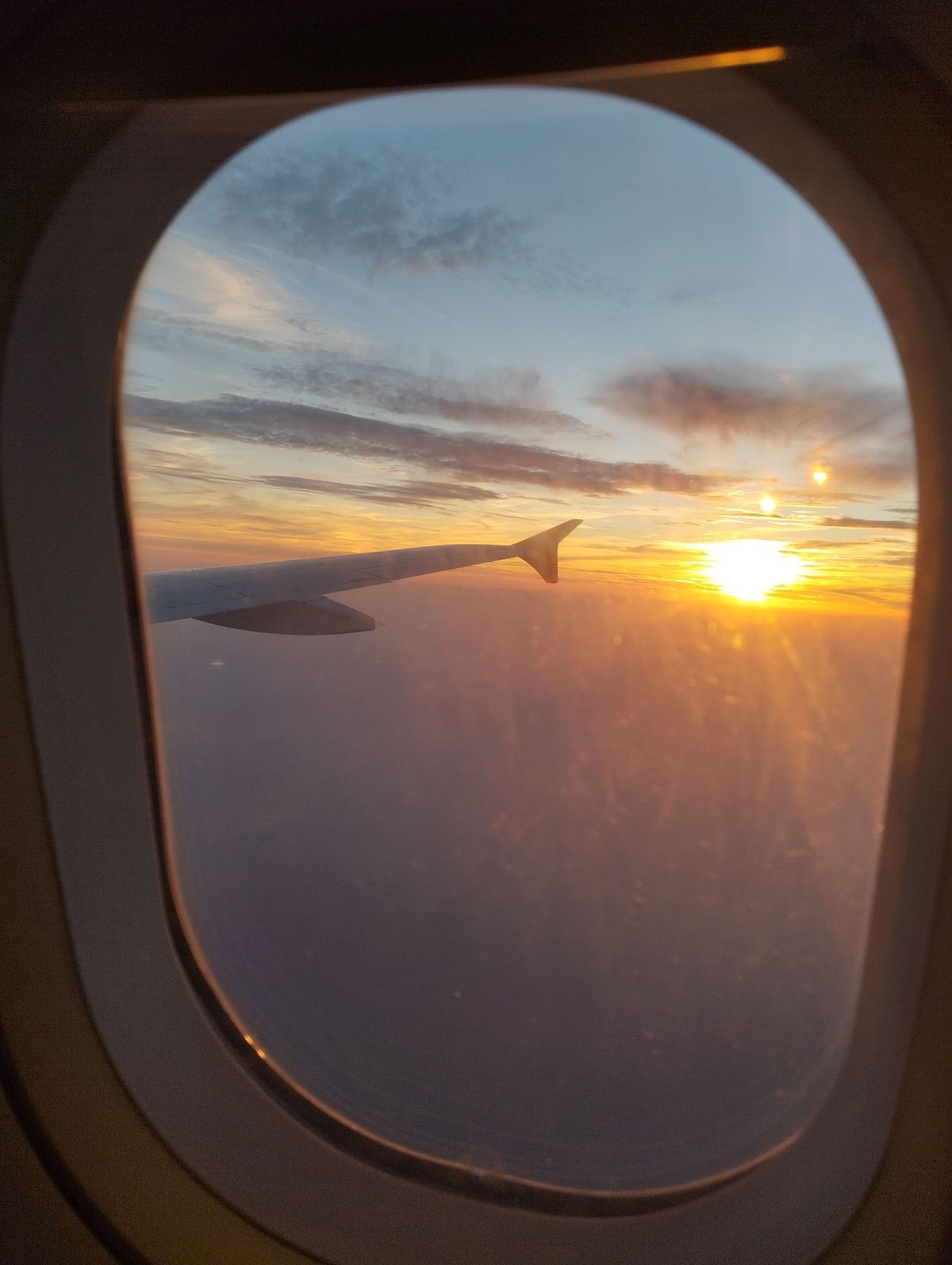 Los biocombustibles deberían reservarse para sectores difíciles de electrificar como la aviación.