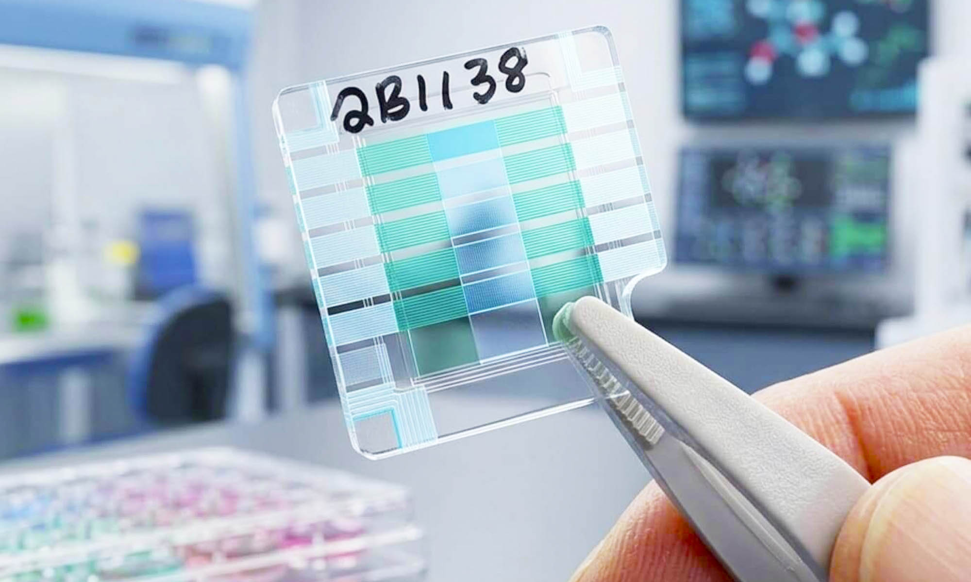 bateria cuantica australia 1