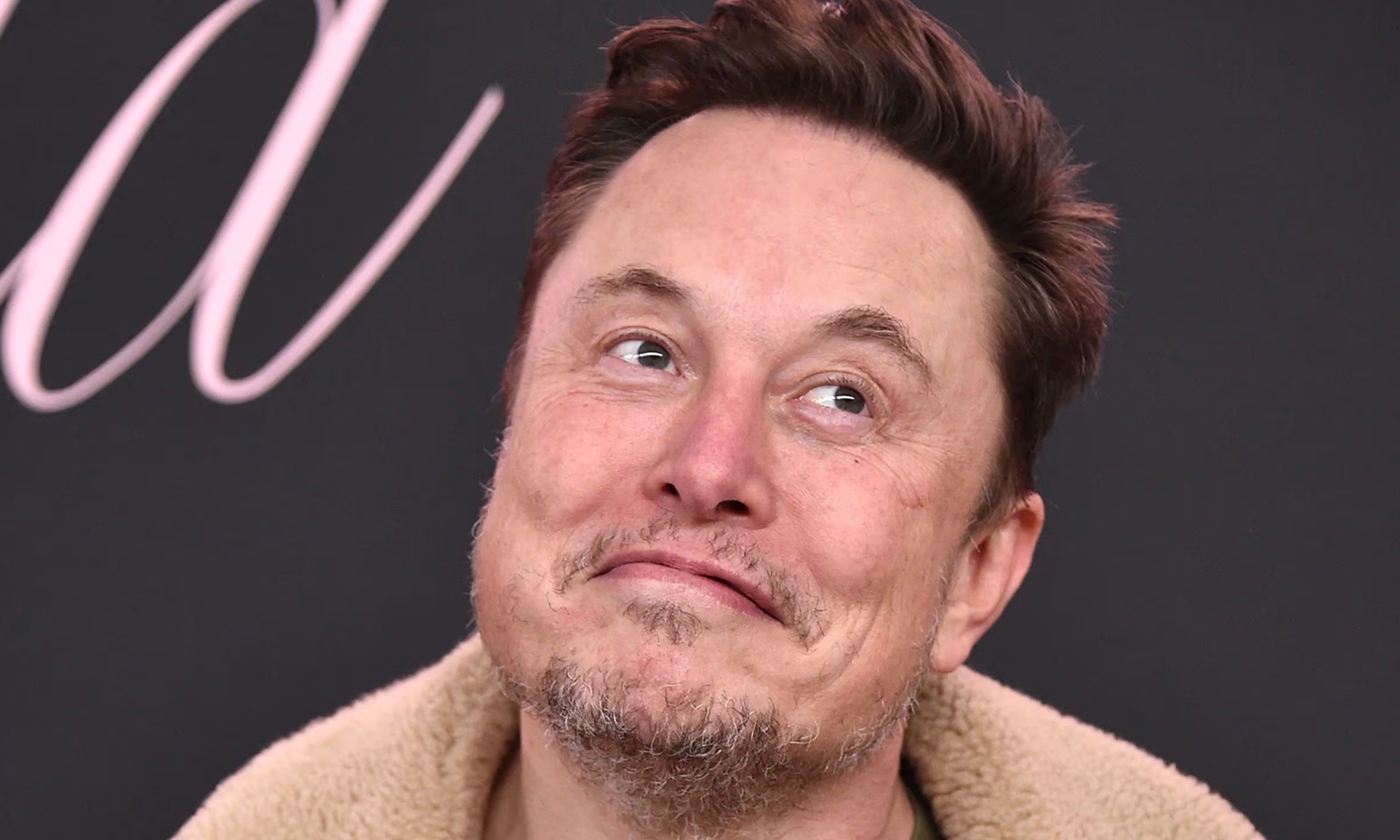 elon musk bromeaba con byd ahora admite derrota 1