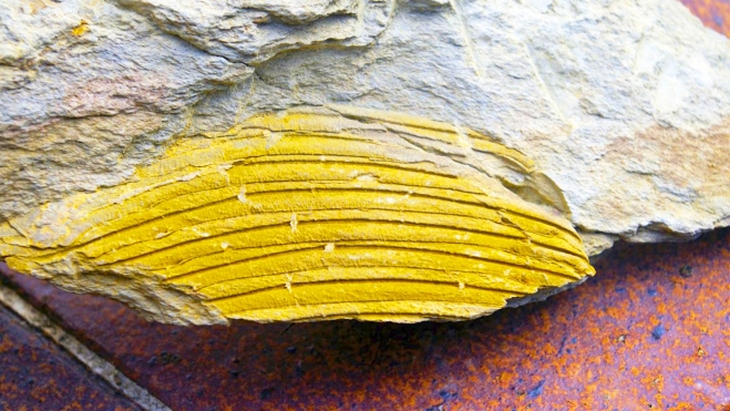 wolframio coches electricos españa salamanca 3