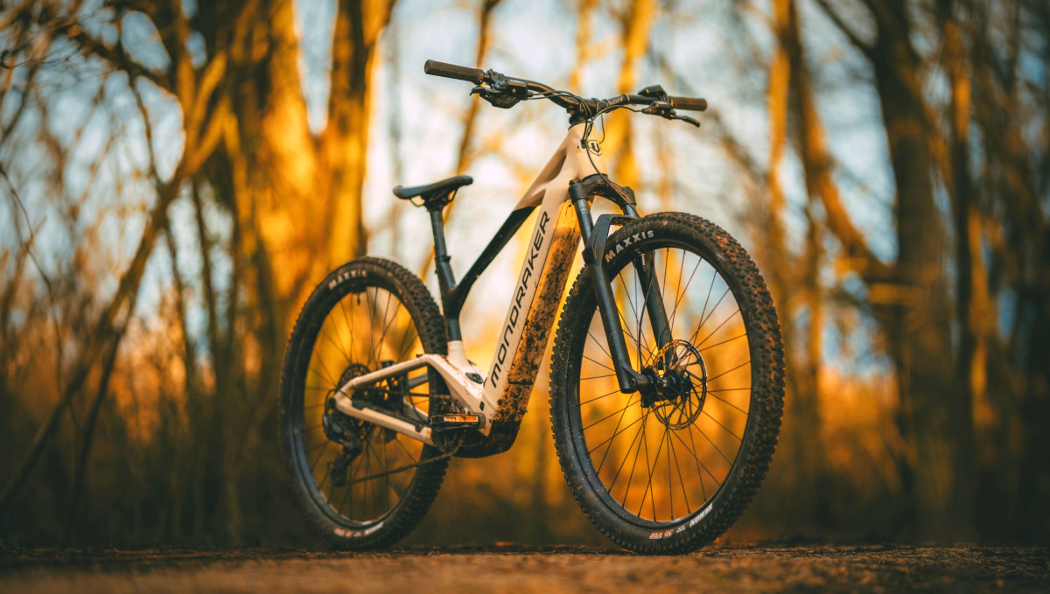 Parece una doble suspensión, pero no lo es (Foto: Mondraker).