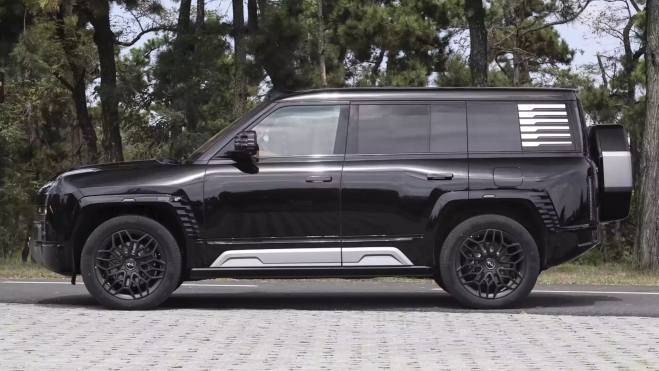 byd tiene problemas seguridad conduccion autonomo como tesla elon musk