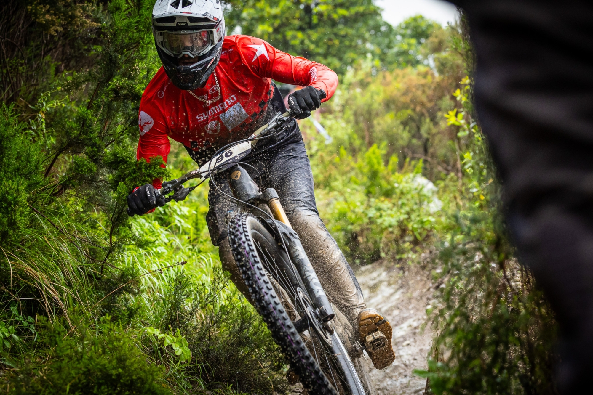 En el European E-Mtb Enduro Tour hay un motor que brilla con luz propia (Foto: ROTWILD).