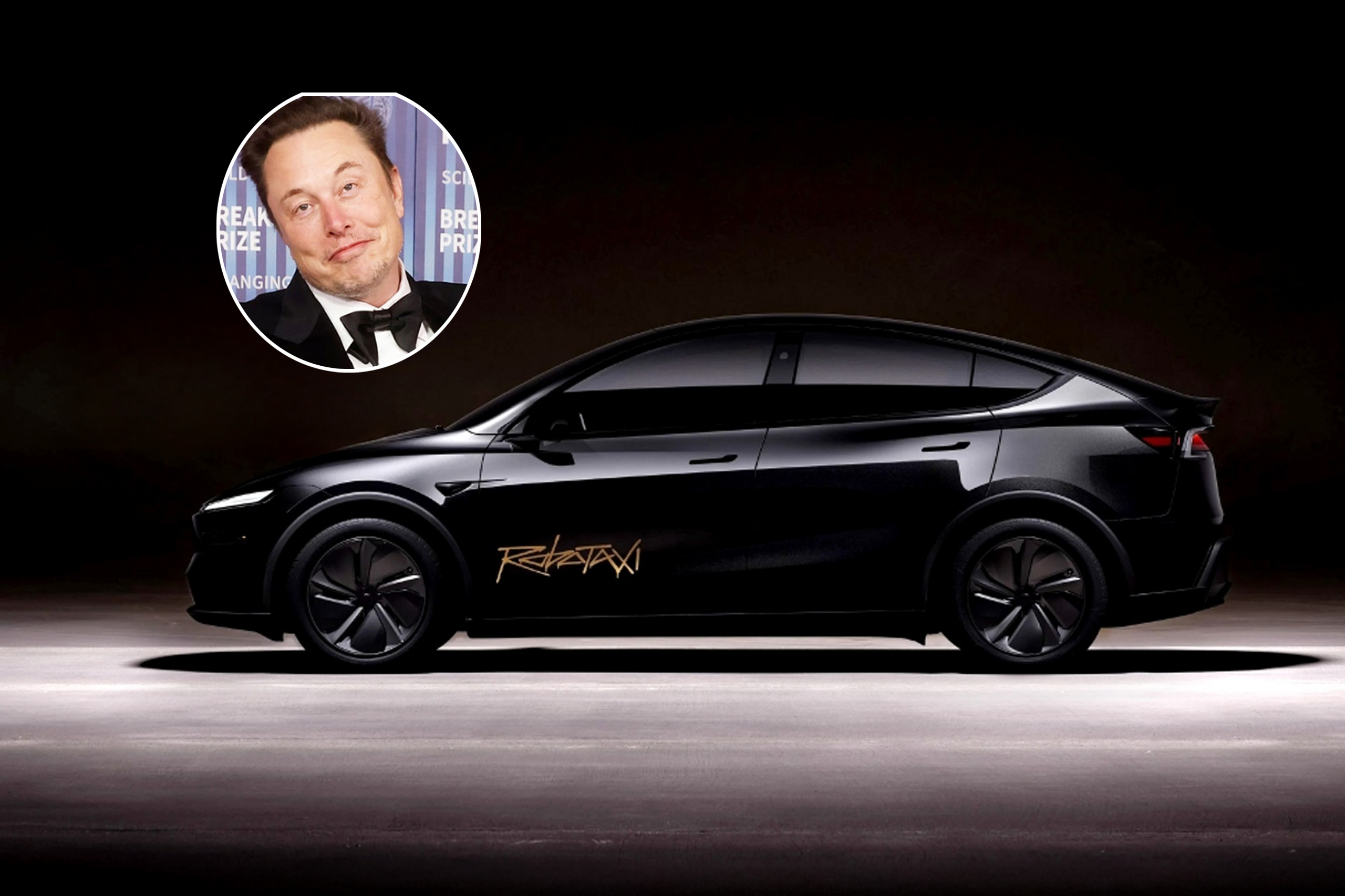 robotaxi tesla