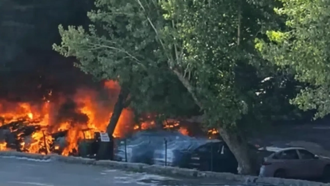 incendio pelusa alamo