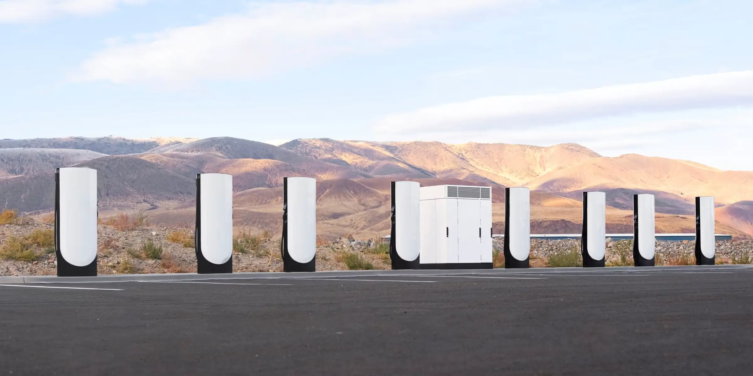 supercagadores marca blanca Tesla