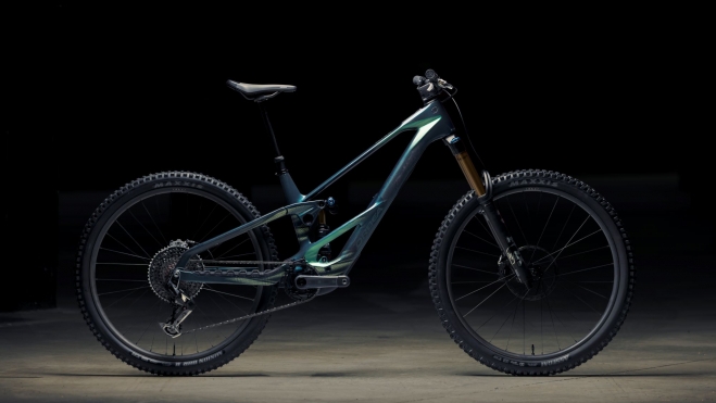 Orbea Wild 1
