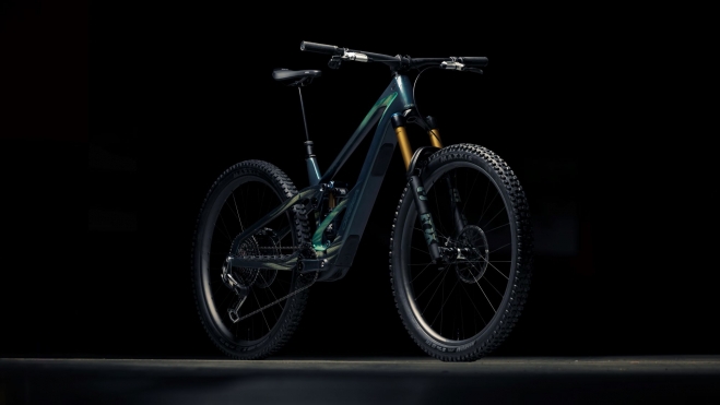 Orbea Wild 3