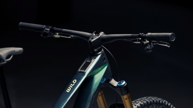 Orbea Wild 7