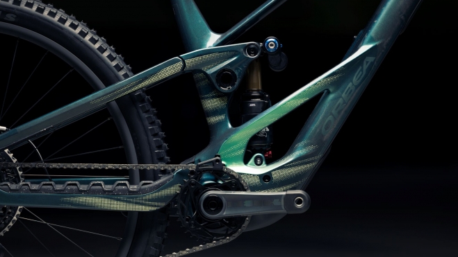 Orbea Wild 8