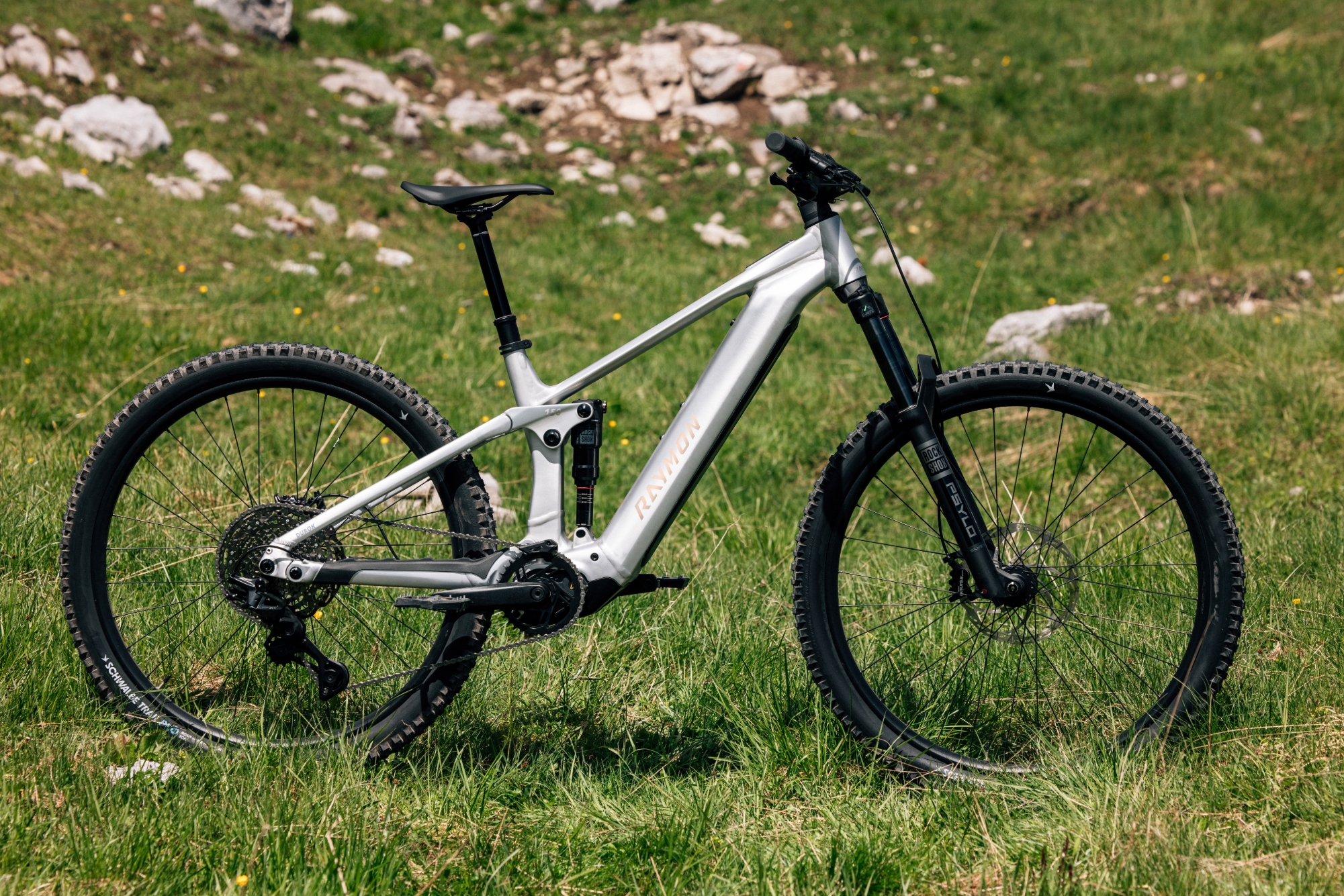 Una bicicleta eléctrica alemana con el motor Avinox (Foto: RAYMON).