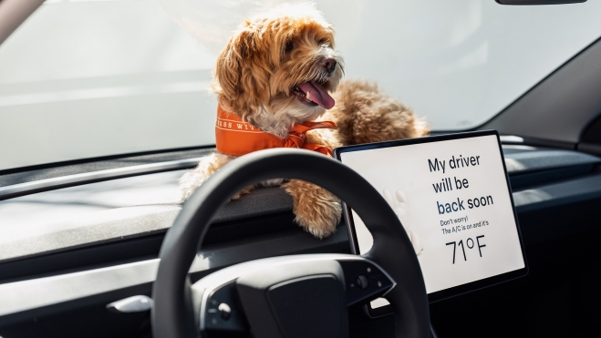multas espana dejar mascota perro gato dentro coche calor verano