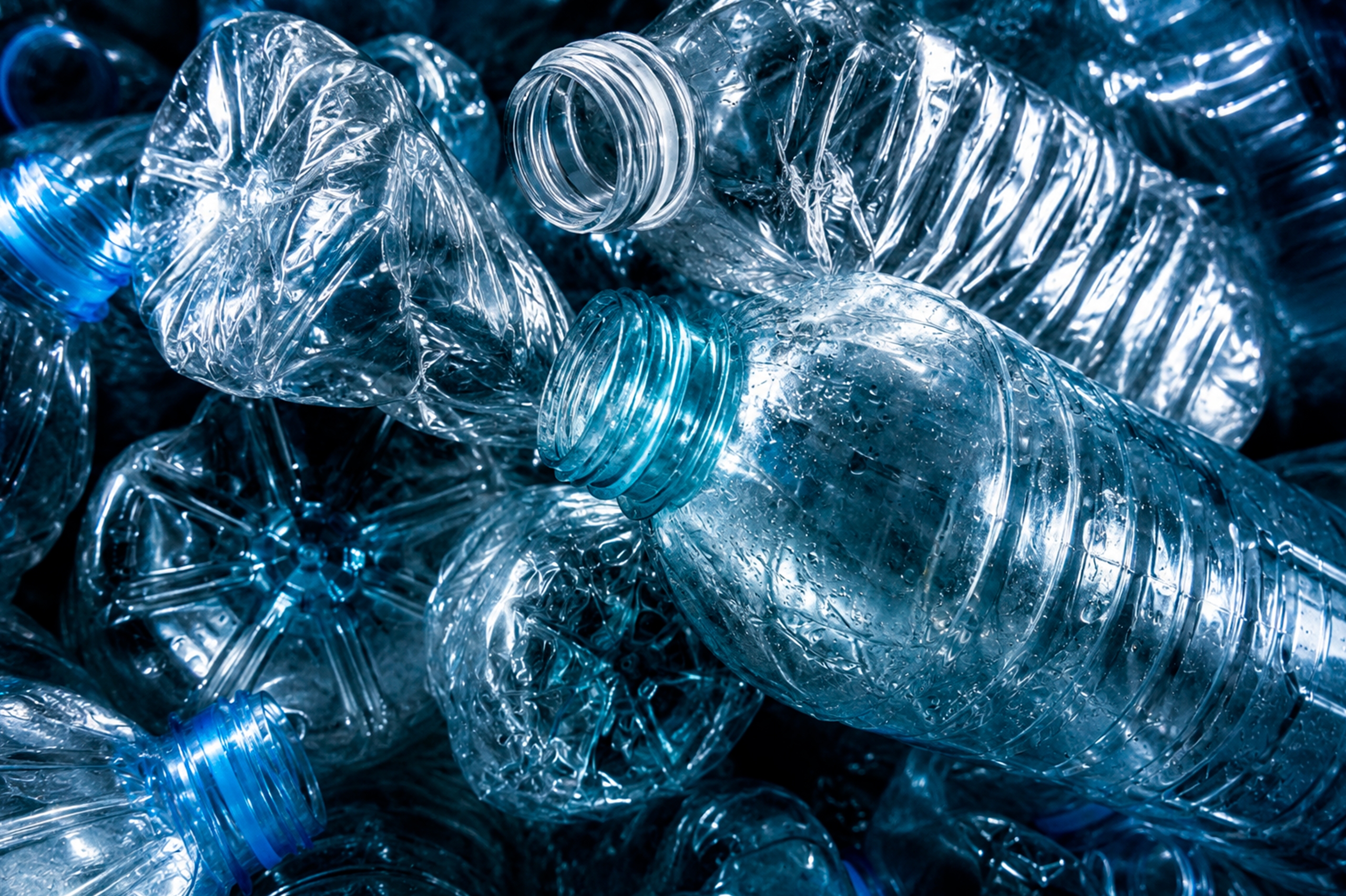 botellas plastico