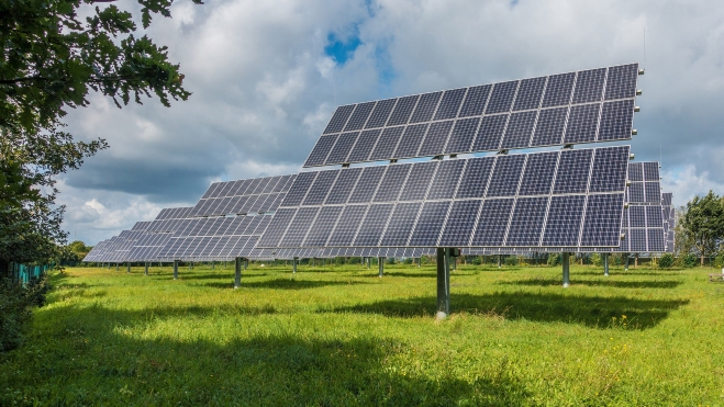 ovejas paneles solares beneficios mutuos 2 ovejas paneles solares beneficios mutuos 2