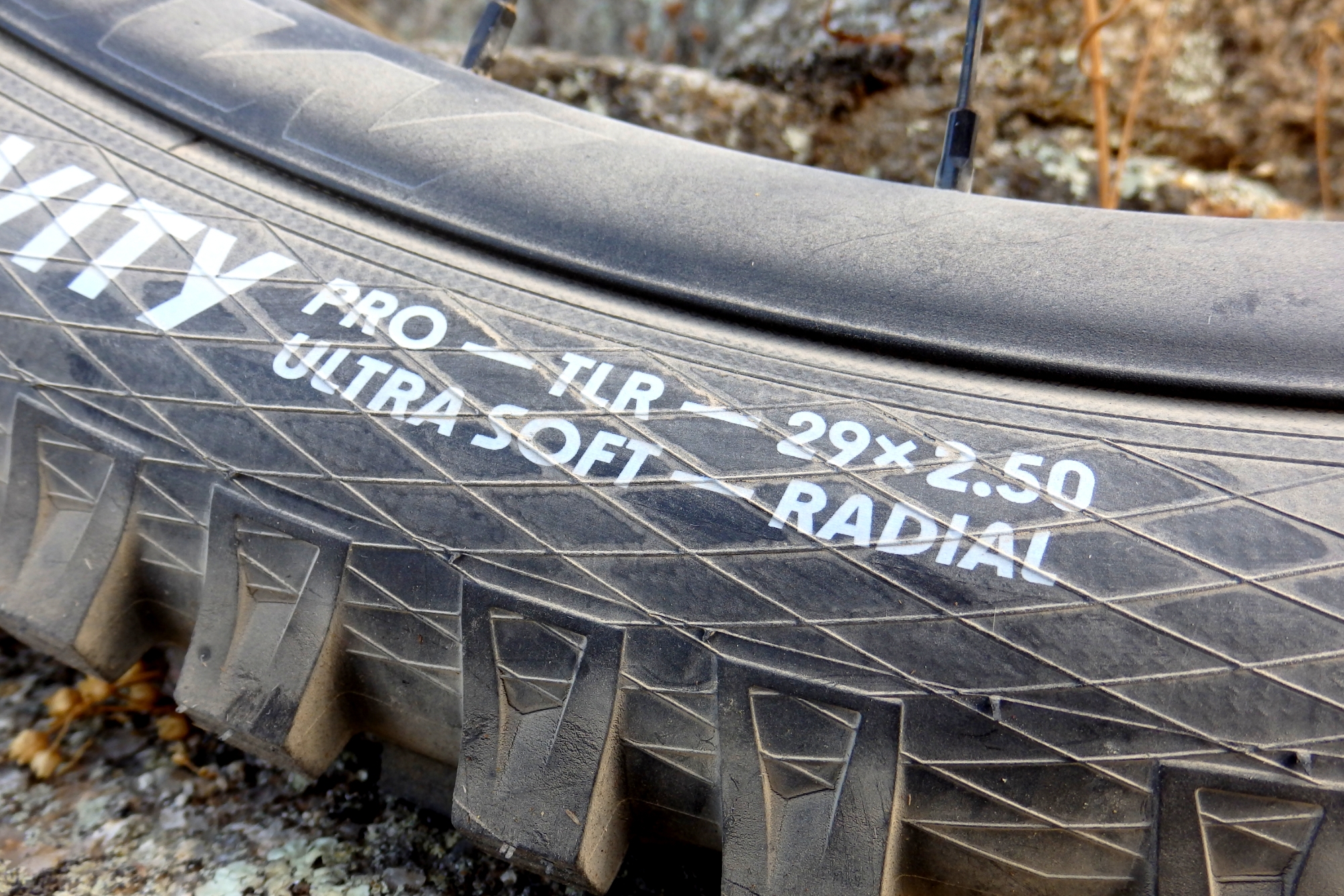 La construcción tipo radial lleva pocas temporadas en el ciclismo (Foto: HÍBRIDOS y ELÉCTRICOS).