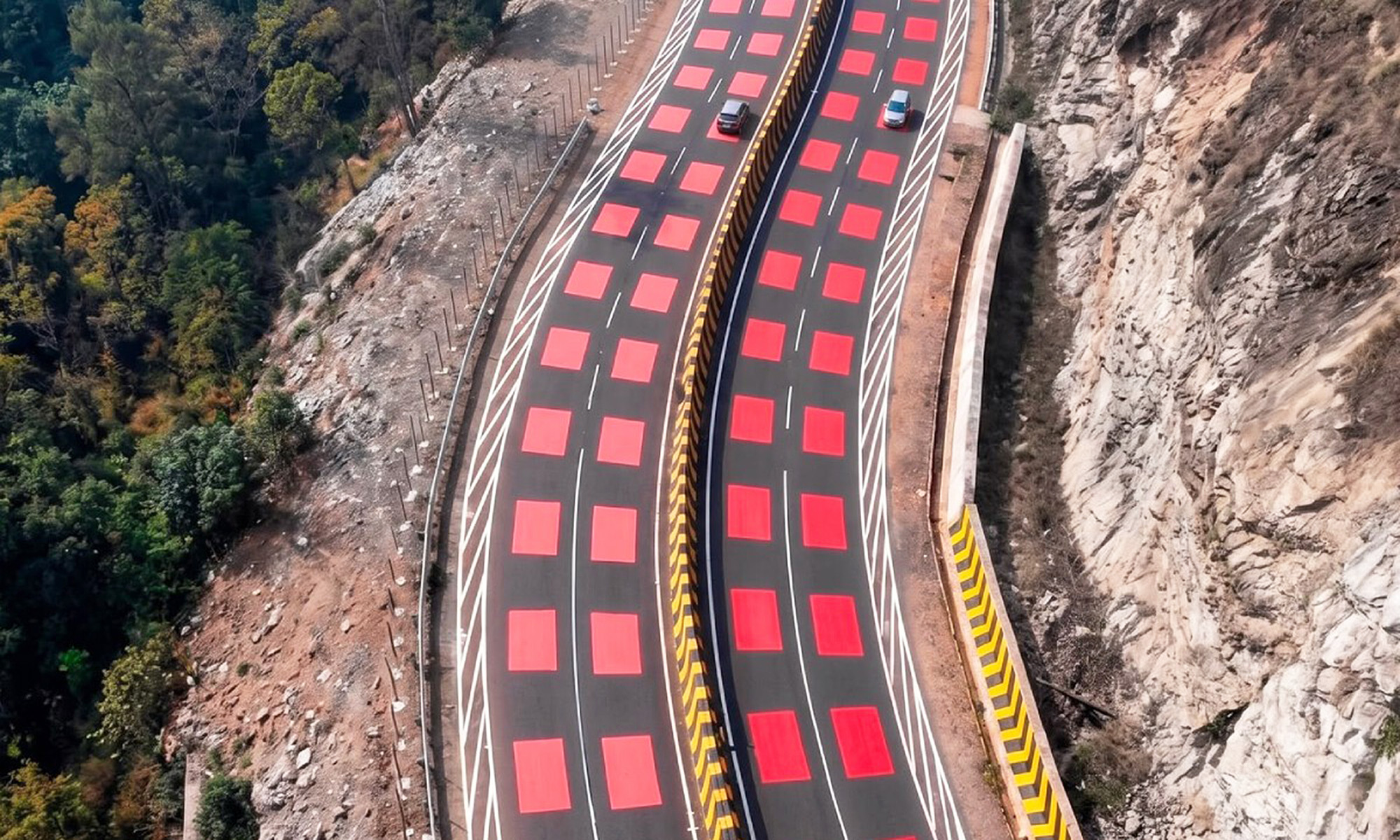 carretera color rojo india proteger animales fauna 2