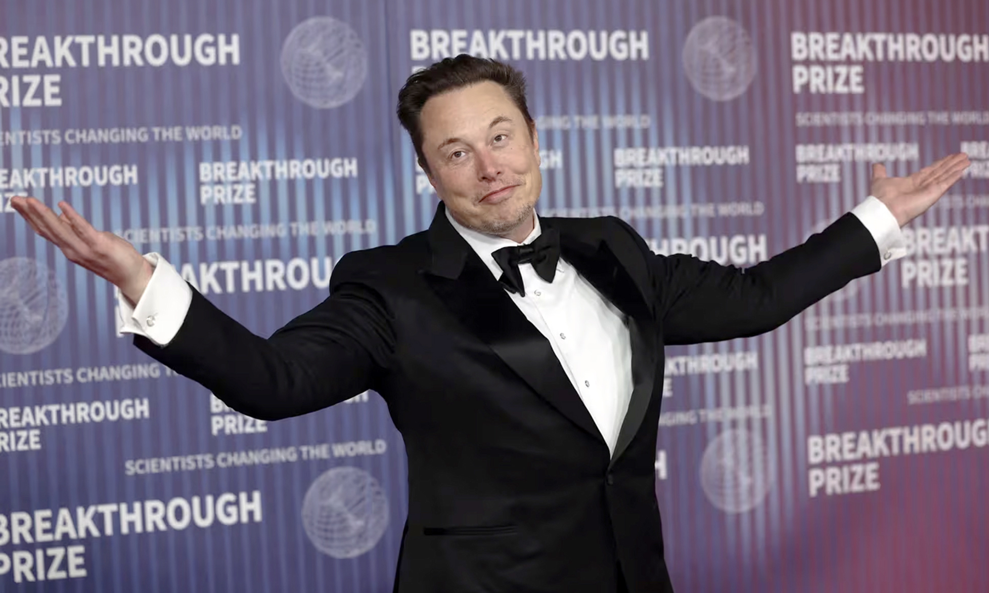 elon musk ceo tesla