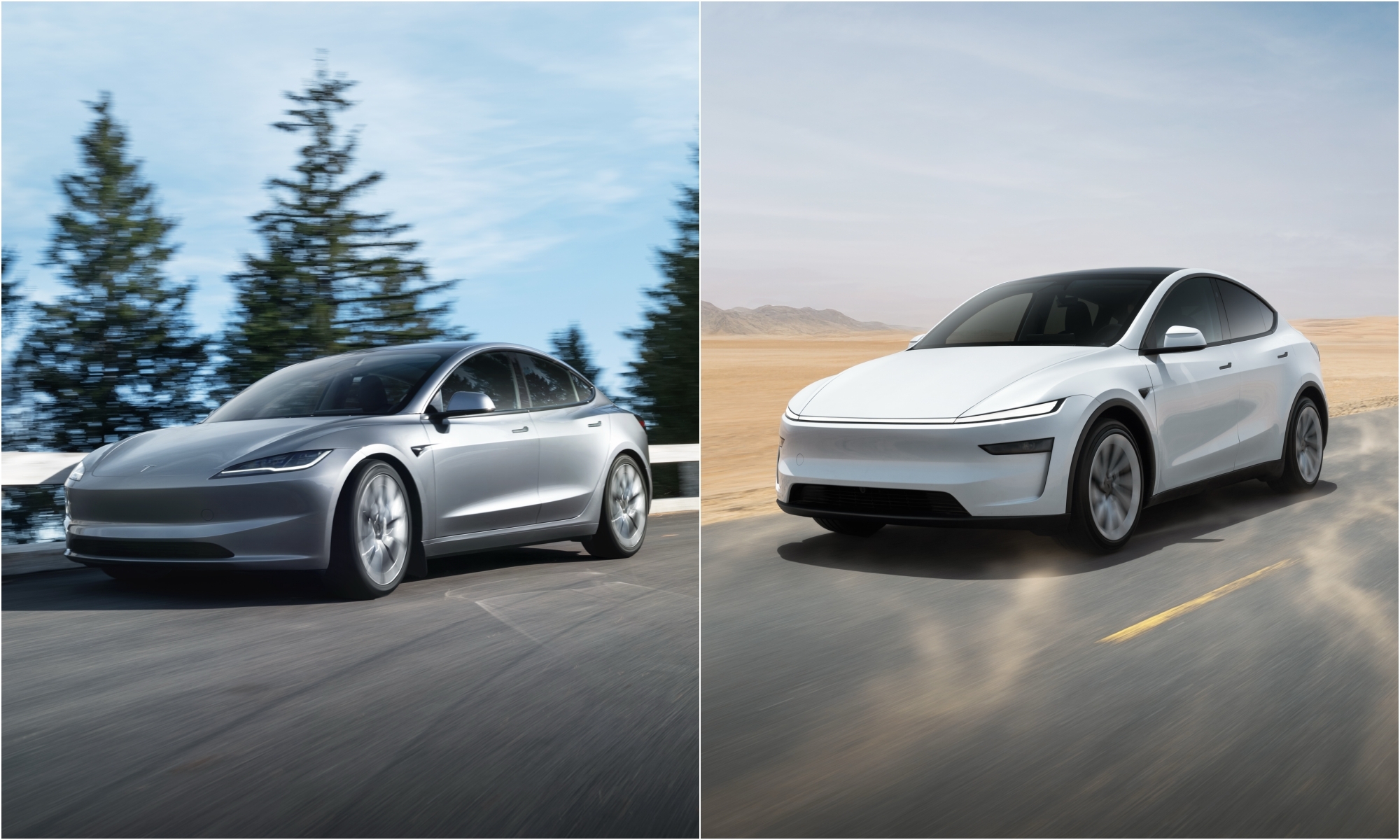 Duelo fraticida. El Model 3 y el Model Y enfrentados con todo tipo de detalles y cifras.