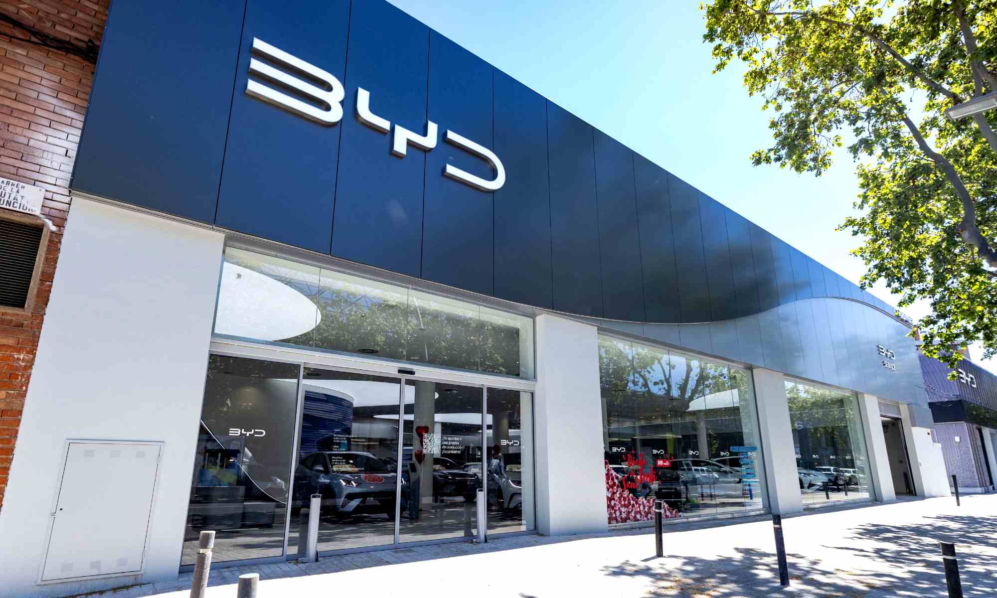 concesionarios BYD