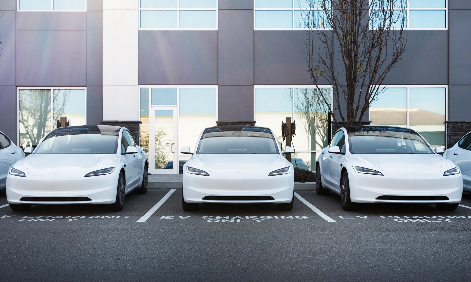 El Tesla Model 3 no tiene rival y podría declararse muy pronto como 'el coche eléctrico más vendido de 2026'. 