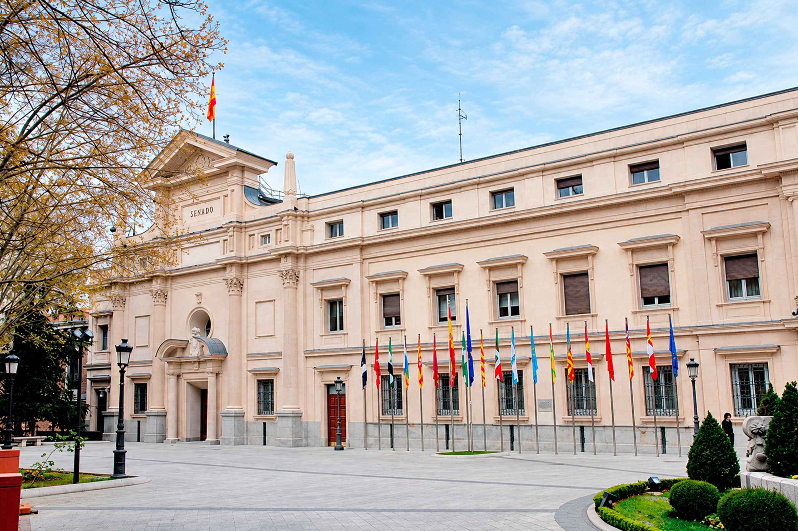 senado