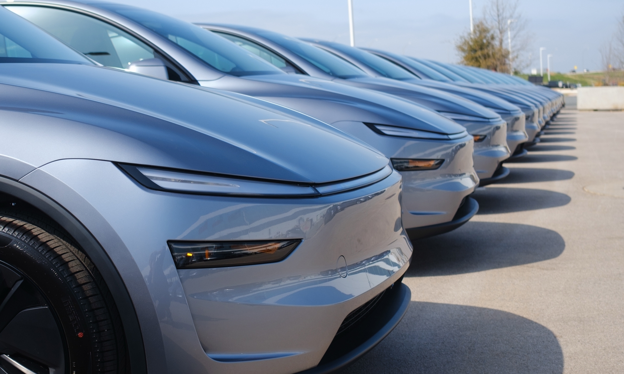 El Model Y conquista una Europa por la que cada vez circulan más coches eléctricos.