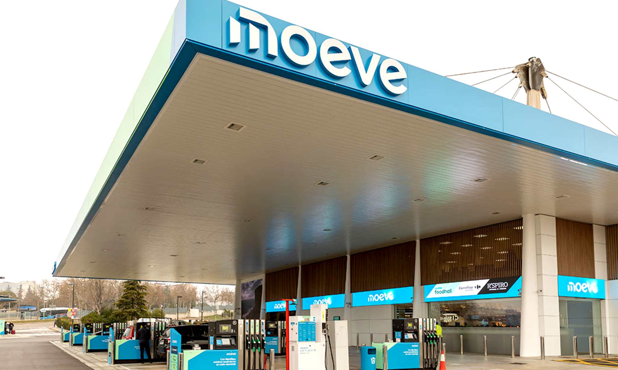 Moeve