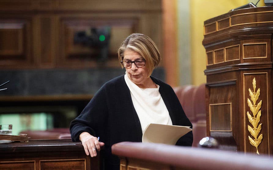  La diputada de Más País, Inés Sabanés, en una sesión plenaria en el Congreso de los Diputados. 