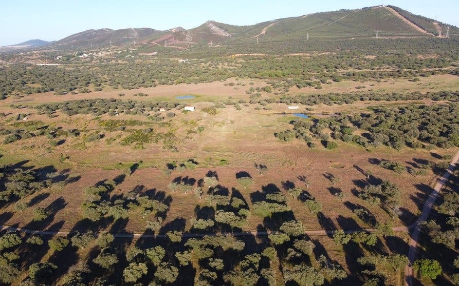  Dehesa de Las Navas, cerca de municipio de Cañaveral. 