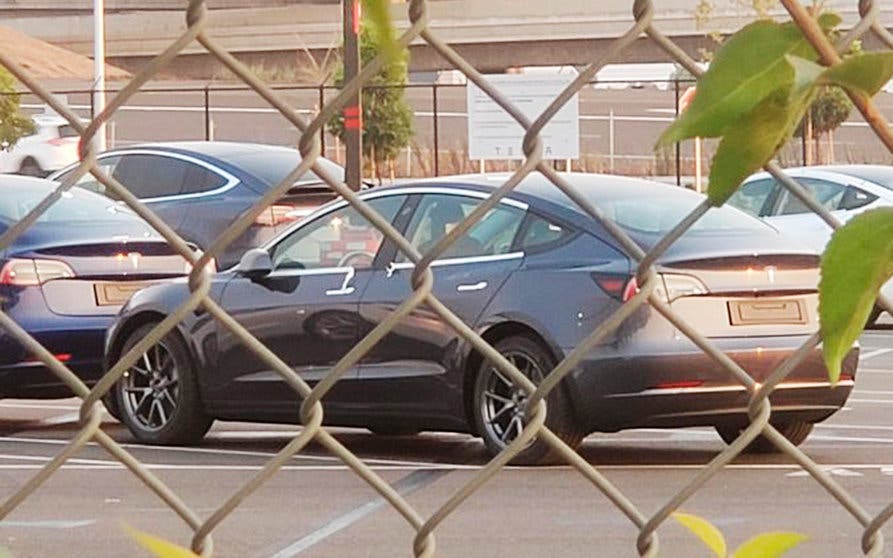  Uno de los Tesla Model 3 cazados. 
