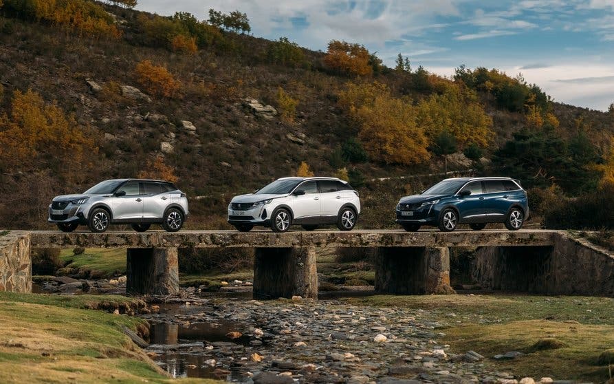  Visitamos el hayedo más al sur de Europa, patrimonio de la UNESCO, con un Peugeot 3008 Hybrid 