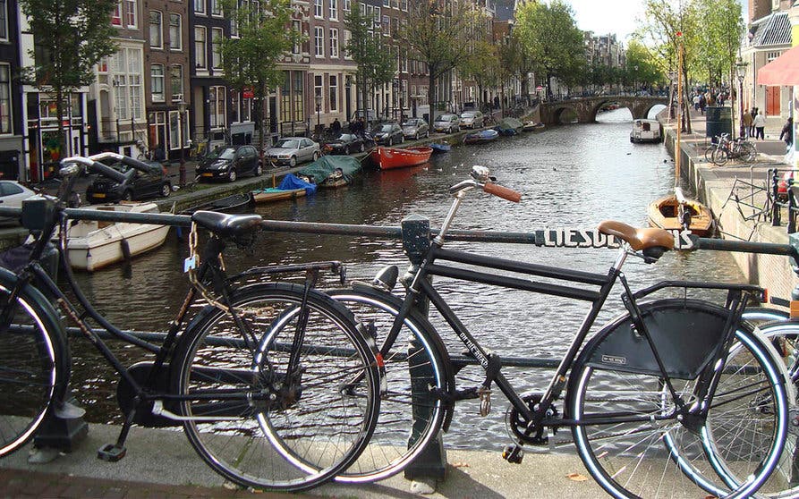  Las bicicletas negras holandesas son máquinas útiles, con guardabarros grandes, engranajes sencillos de un solo piñón y cadenas cerradas, construidas para la ser cómodas pero no veloces. 