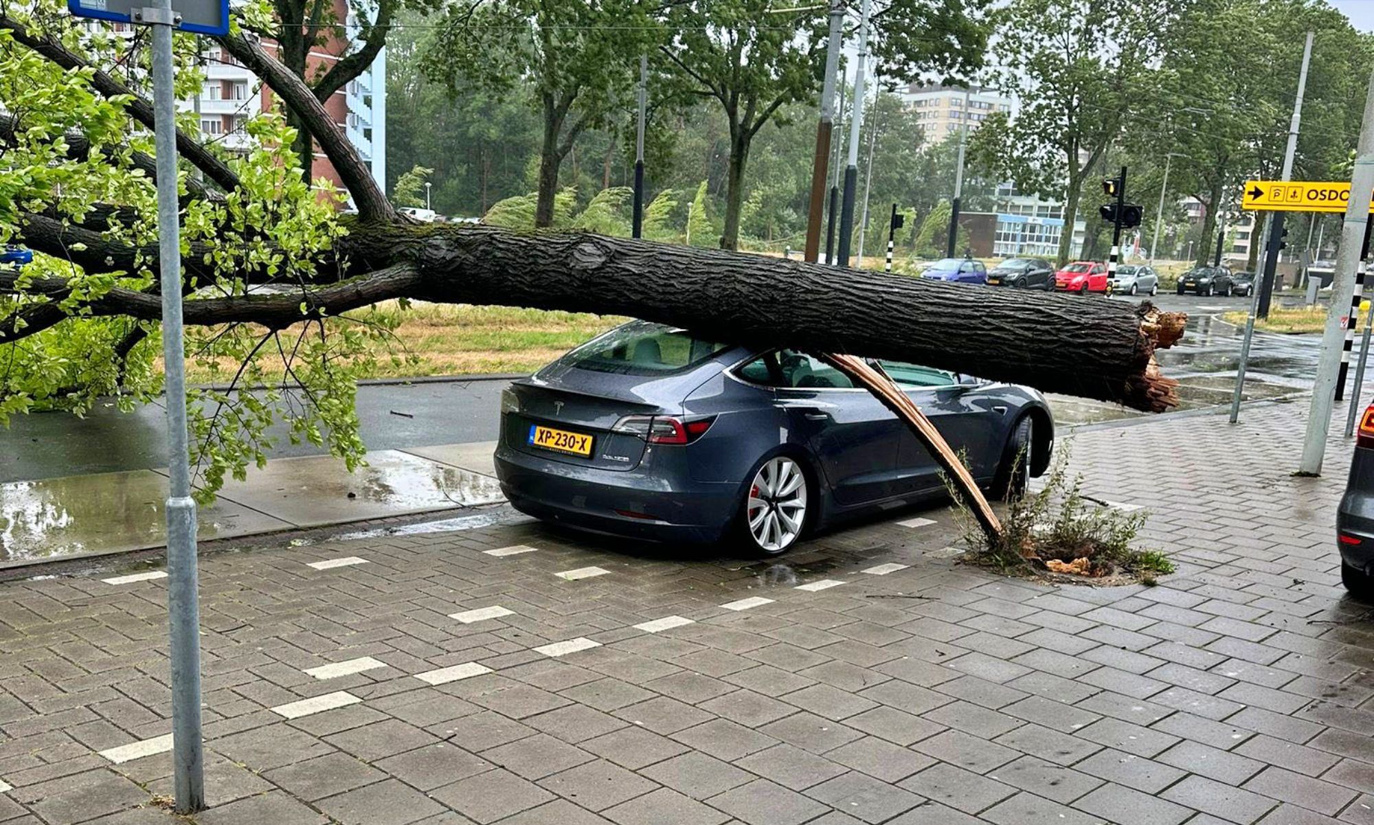 Así ha quedado el Model 3 que ha sufrido la caída directa de un árbol en Holanda.