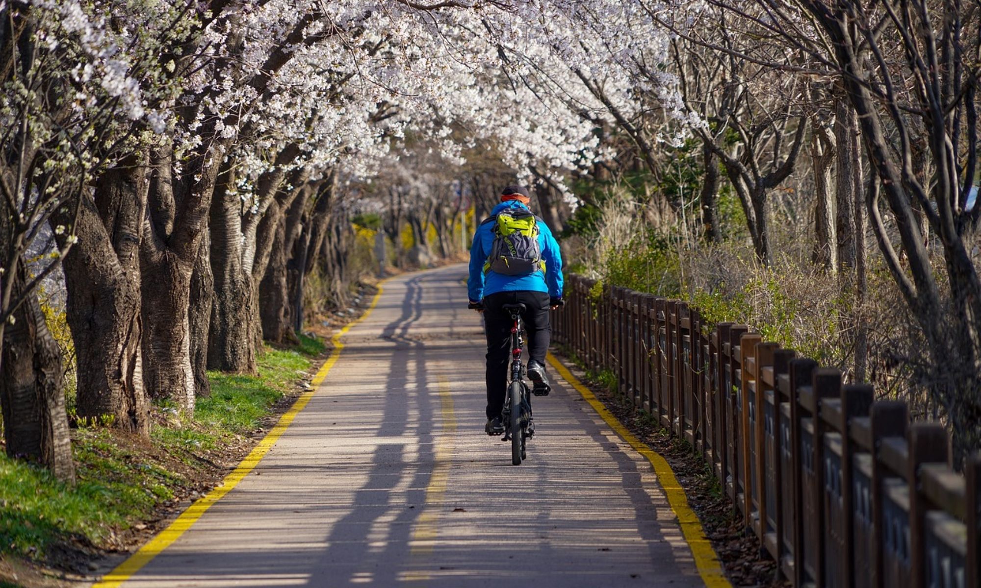 Los carriles bici son una gran solución para la movilidad, pero no todo el mundo respeta las normas.