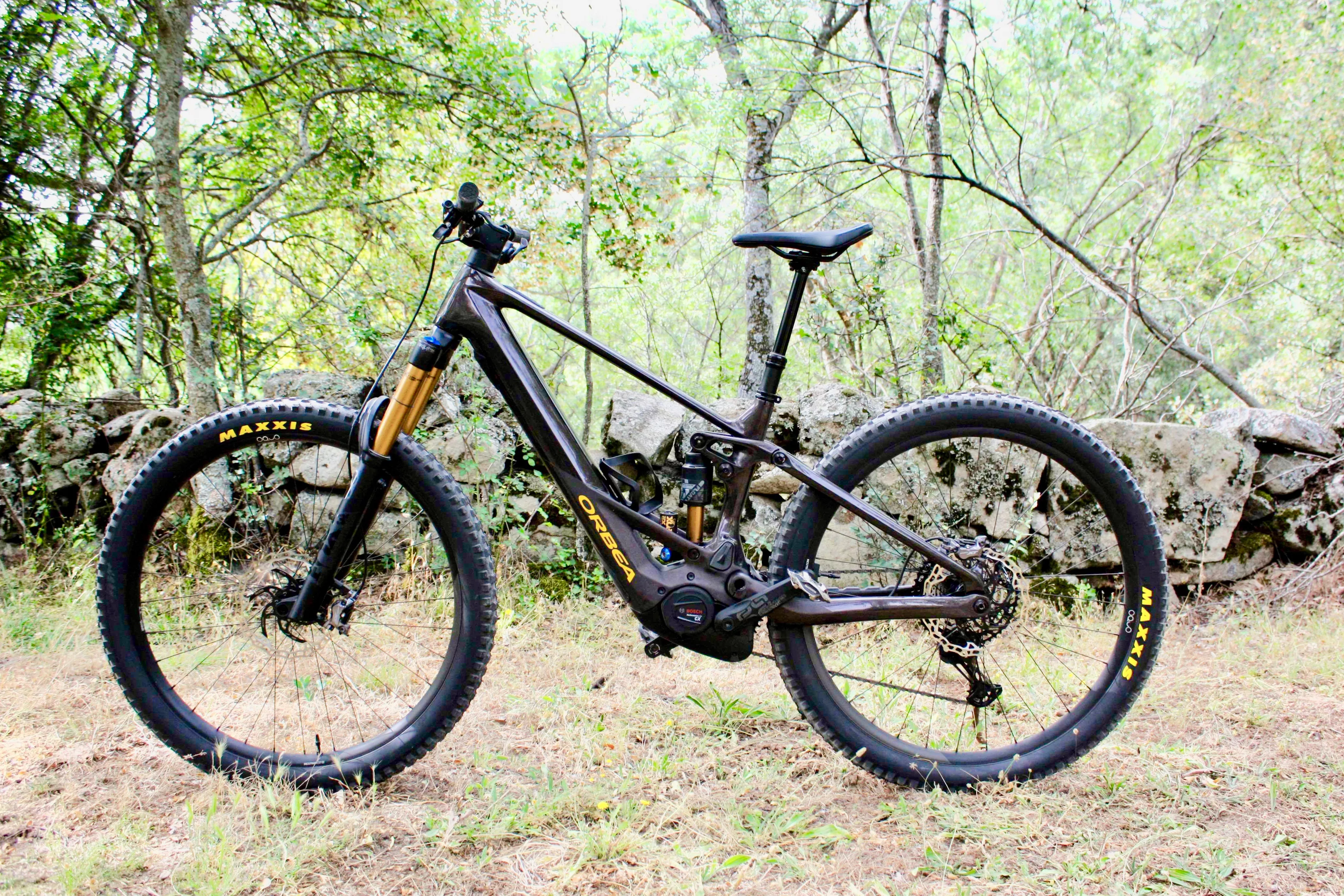 Orbea Wild 1