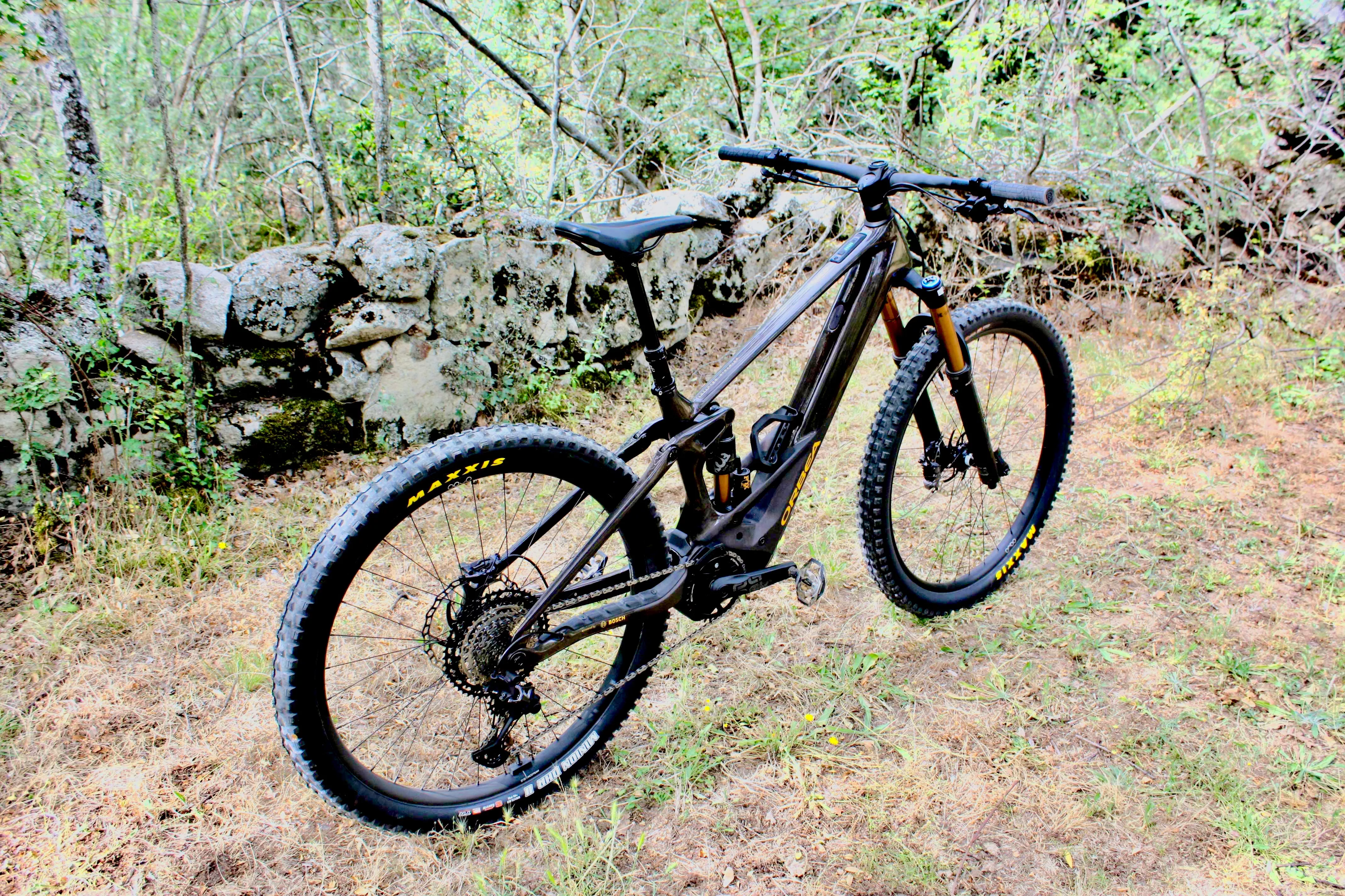 Orbea Wild 10