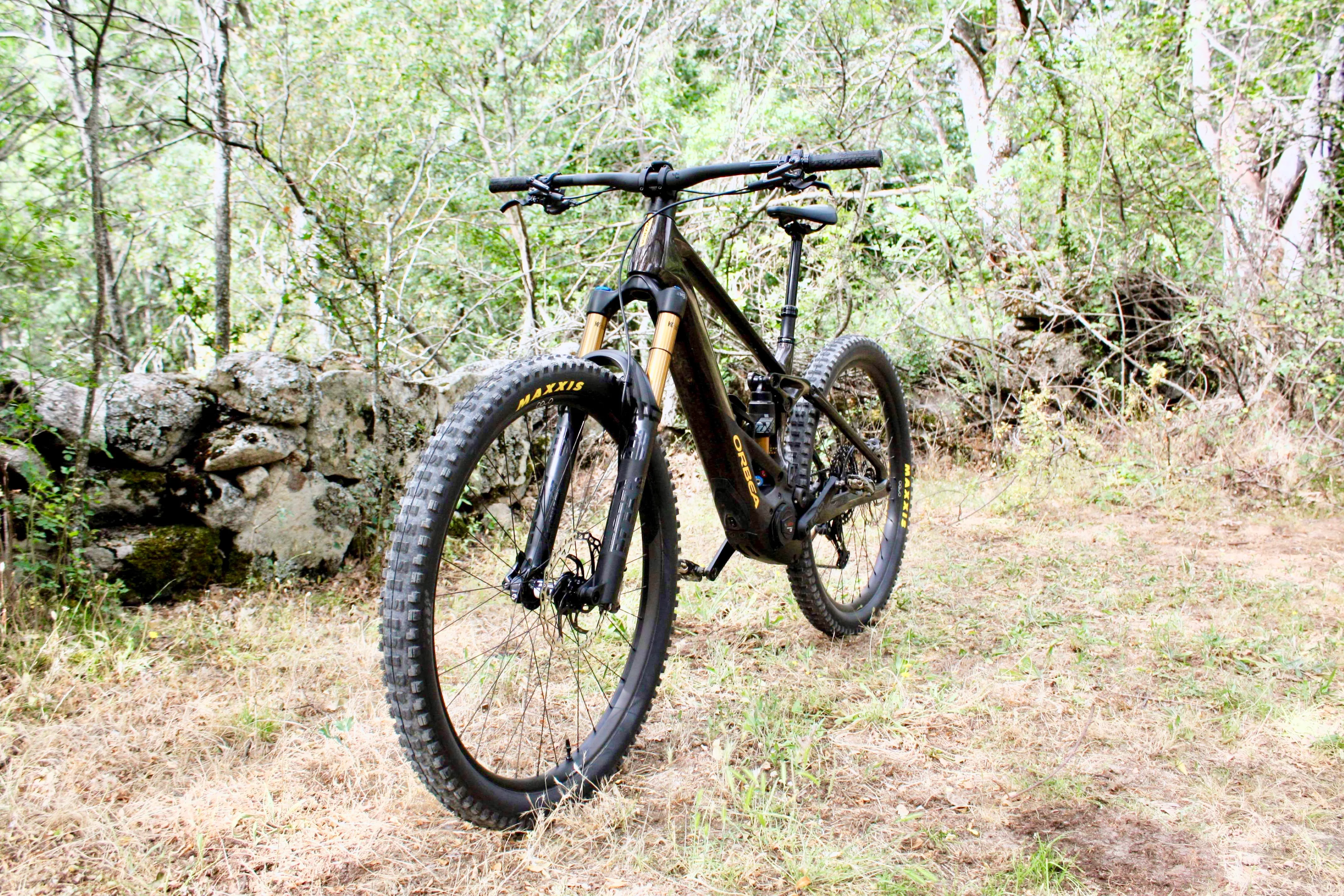 Orbea Wild 2