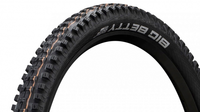 schwalbe big betty