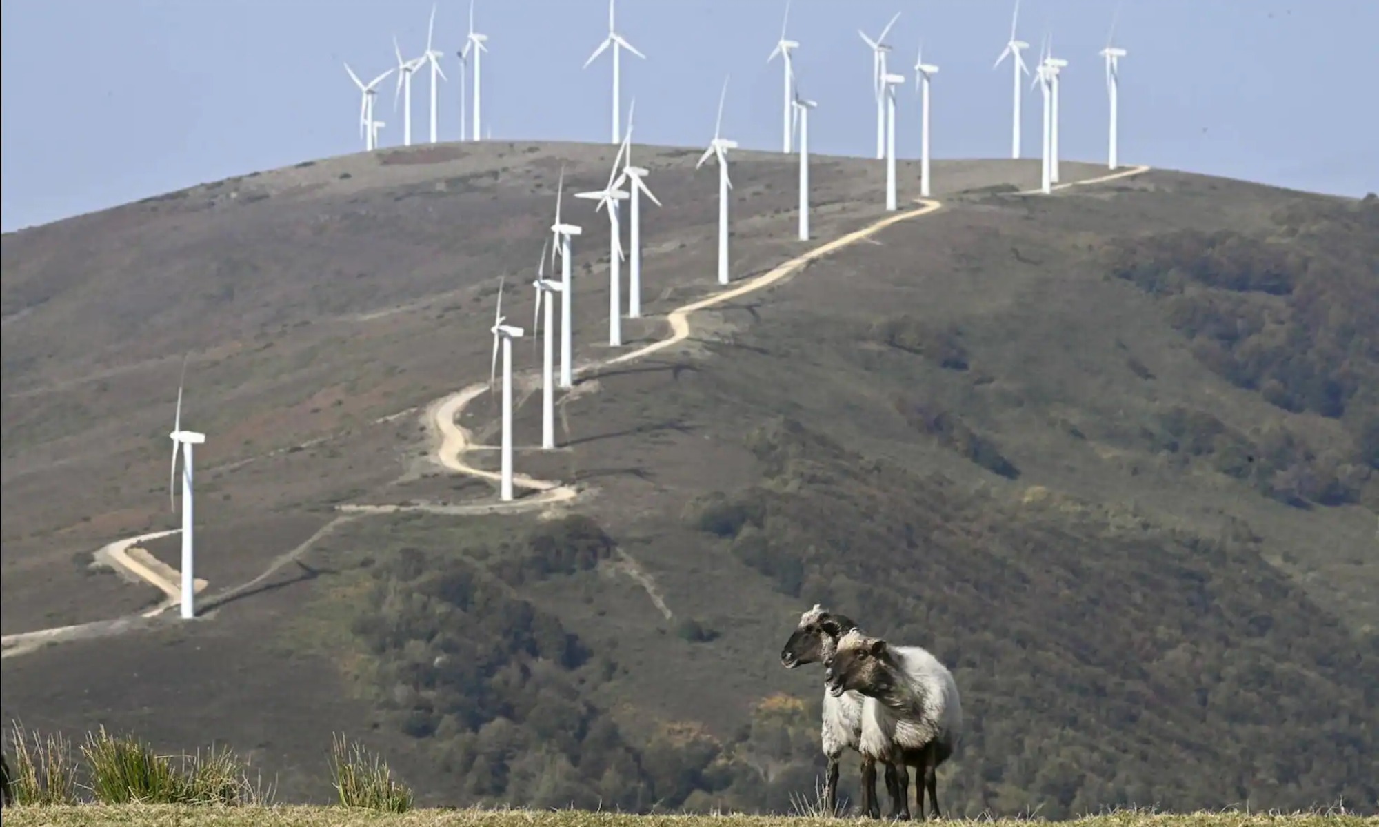 El uso de esta IA permitirá hacer las segura la instalación de parques eólicos en el futuro.