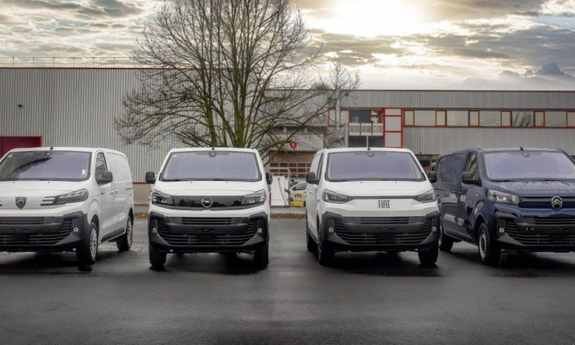 Las cuatro marcas de Stellantis que fabrican vehículos industriales: Peugeot, Opel, Fiat y Citroën.