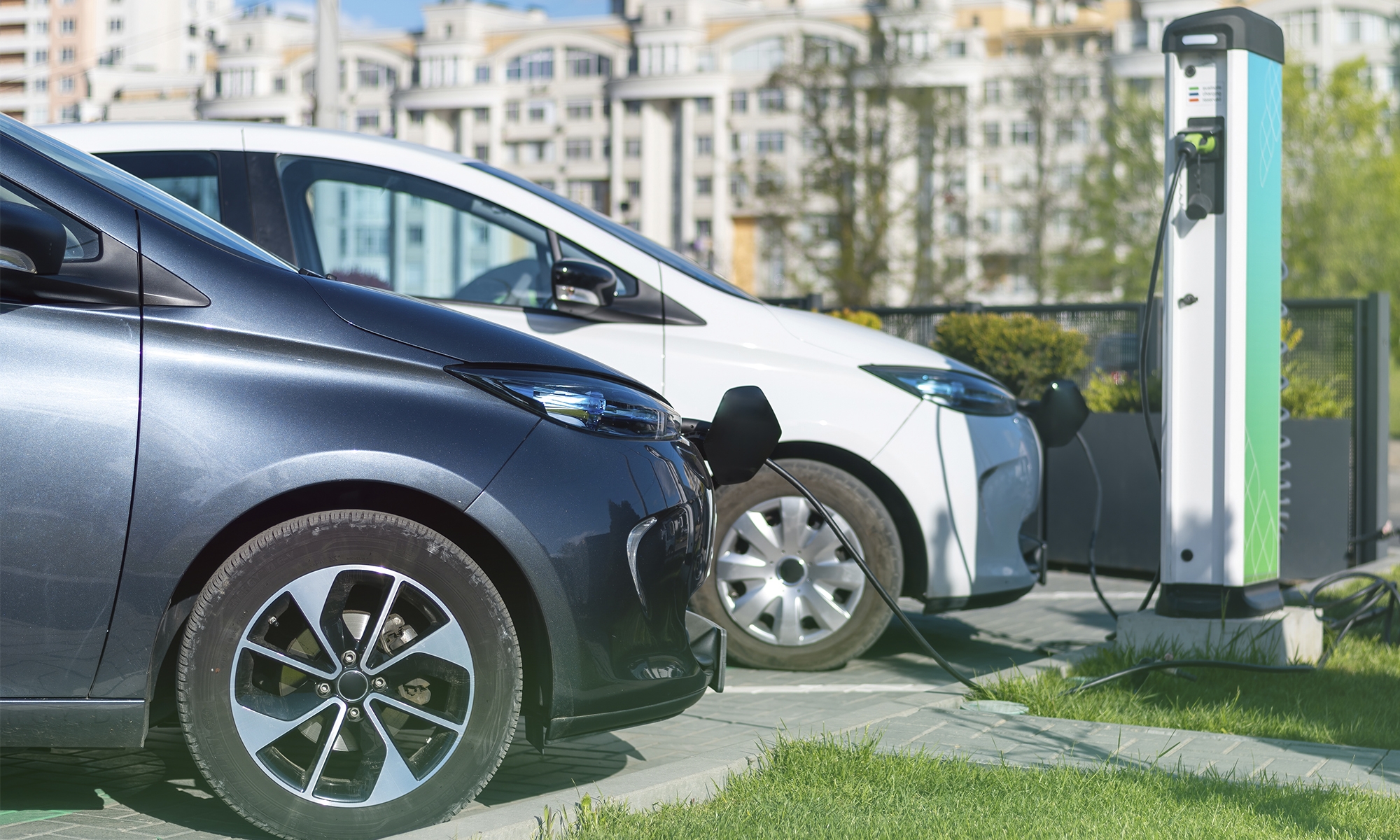 Los coches eléctricos baratos son muy escasos en Europa.