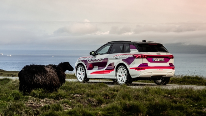 audi q6 3 audi q6 3
