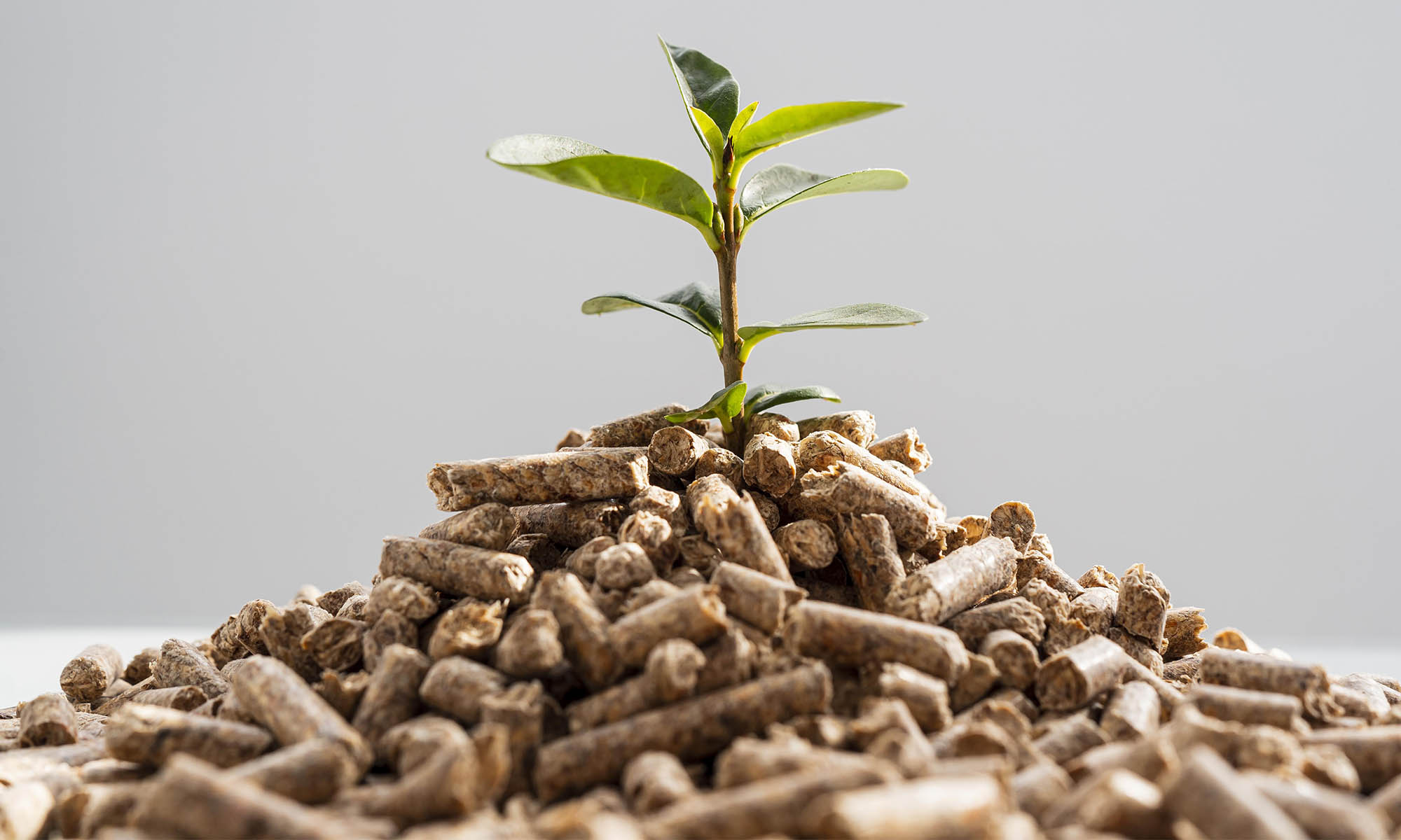 La biomasa  incluye madera, residuos agrícolas, excrementos de animales y otros materiales biodegradables.