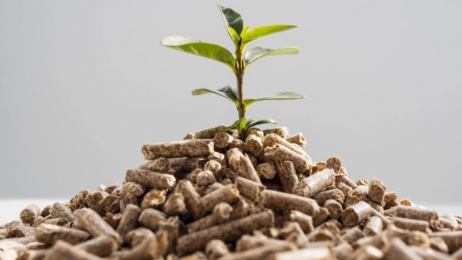 La biomasaincluye madera, residuos agrícolas, excrementos de animales y otros materiales biodegradables. La biomasaincluye madera, residuos agrícolas, excrementos de animales y otros materiales biodegradables.