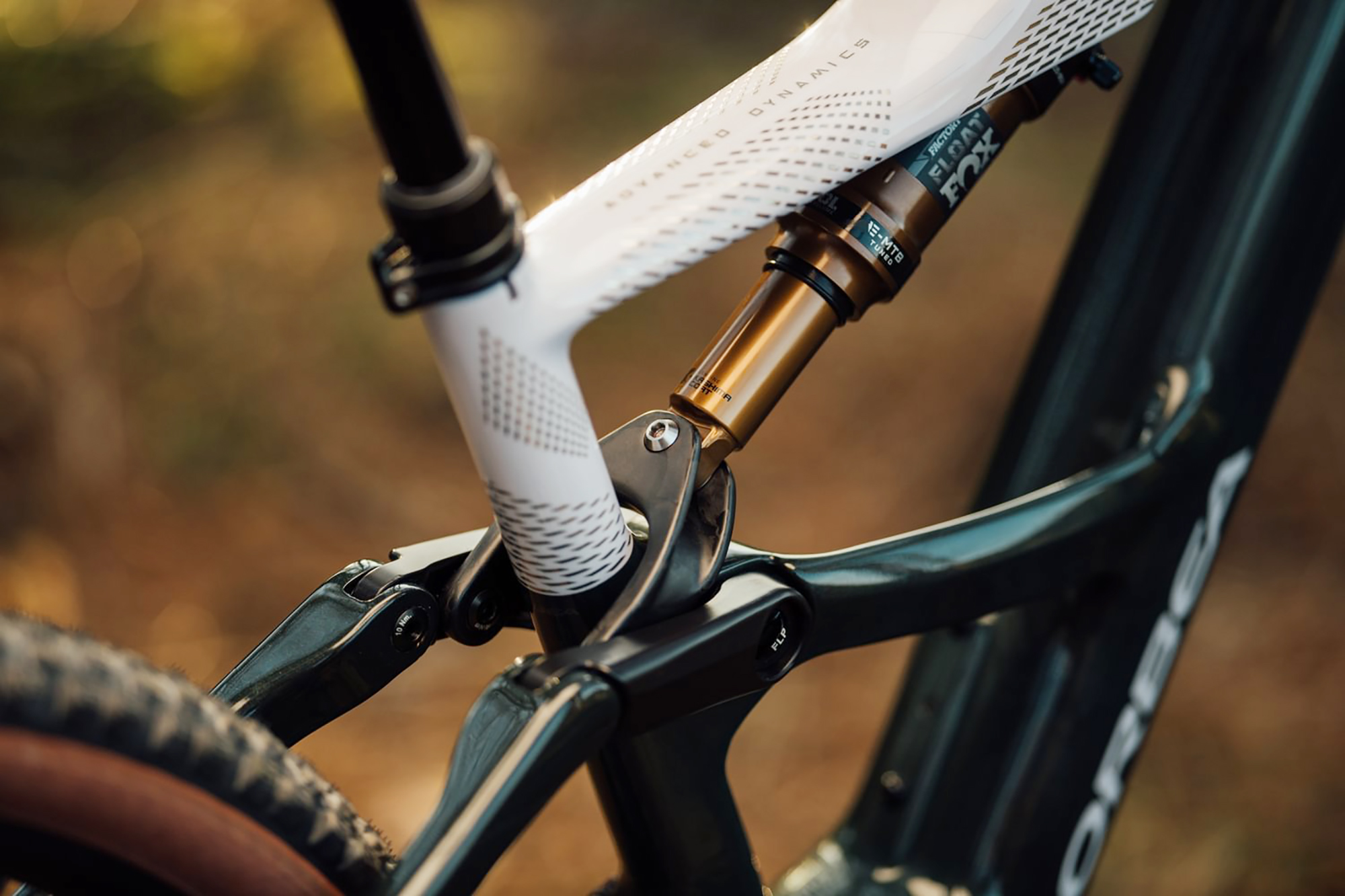 Detalle de la bieleta de la Orbea Rise SL Detalle de la bieleta de la Orbea Rise SL