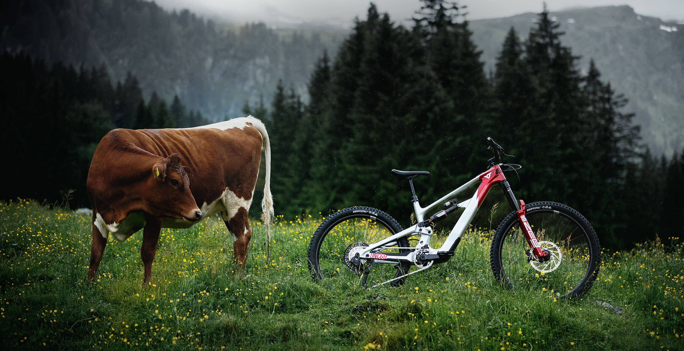 La YT Decoy SN posee un set de ruedas 'mullet'. (Foto: YT Industries). La YT Decoy SN posee un set de ruedas 'mullet'. (Foto: YT Industries).